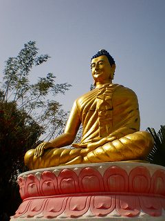 b0239629_53585.jpg