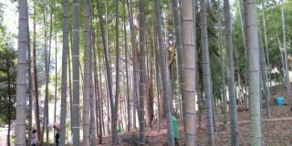 f0159130_17382315.jpg