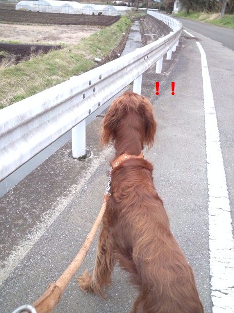 c0059331_1713477.jpg