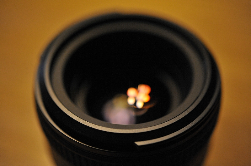 基本は標準レンズ　新Nikkor50mm f1.4G_f0050534_16264146.jpg