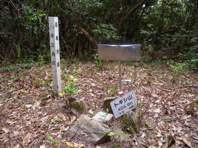 近郊の山歩きと路傍の花_e0272335_1332328.jpg