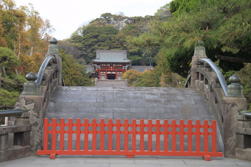 d0055236_183397.jpg