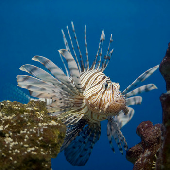 f0124737_723731.jpg