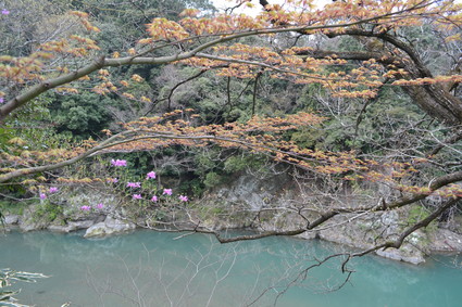 原三渓　郷里の天神山・2012（1）_e0228938_21294015.jpg