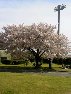 a0242241_19143118.jpg