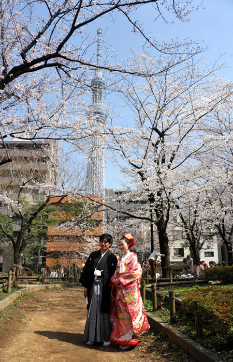 桜と東京スカイツリーと ”おめでとう＾＾&#9825”_b0075541_7261038.jpg