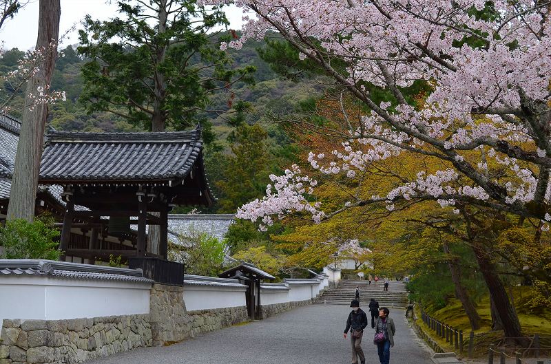 南禅寺の桜便り_e0237645_01164.jpg