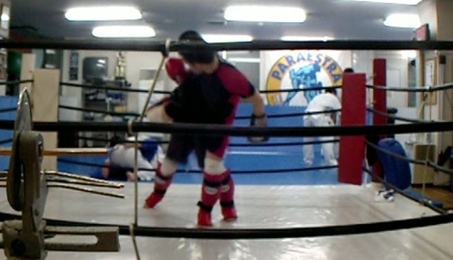 c0017046_046731.jpg
