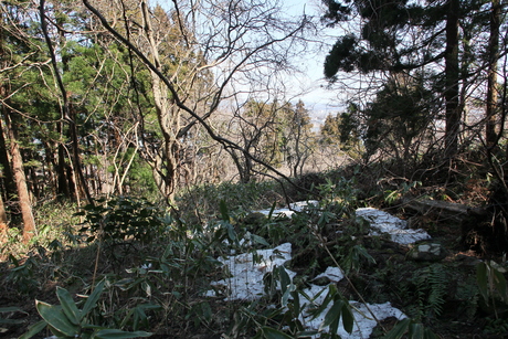 もうすぐ春の函館山_d0179447_0504029.jpg