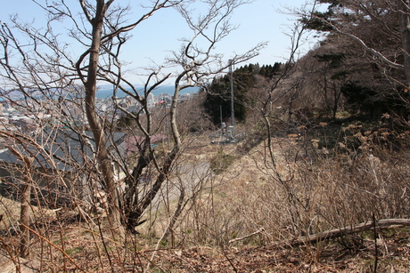 もうすぐ春の函館山_d0179447_142494.jpg