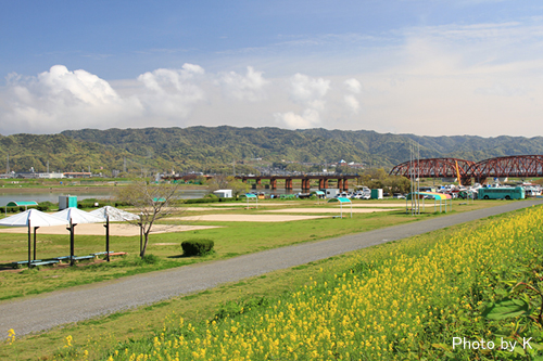 c0127748_17364075.jpg