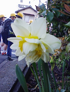 またまた閑話休題なれど緊急!! 4月26日_f0197754_2052533.jpg