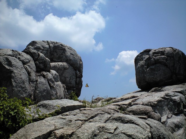 瞑想すると運が良くなります 2012.4.20_b0002156_21555627.jpg