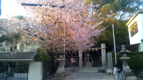 d0218056_19593794.jpg
