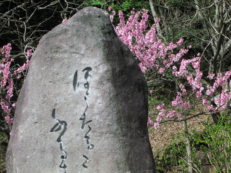 d0244960_1711072.jpg