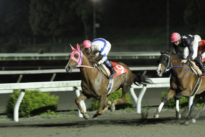 2012年4月20日（金） 高知競馬 10R KCBレディスシリーズ スピカ特別 牝馬_a0077663_8181525.jpg