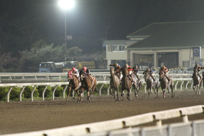 2012年4月20日（金） 高知競馬 10R KCBレディスシリーズ スピカ特別 牝馬_a0077663_8182878.jpg