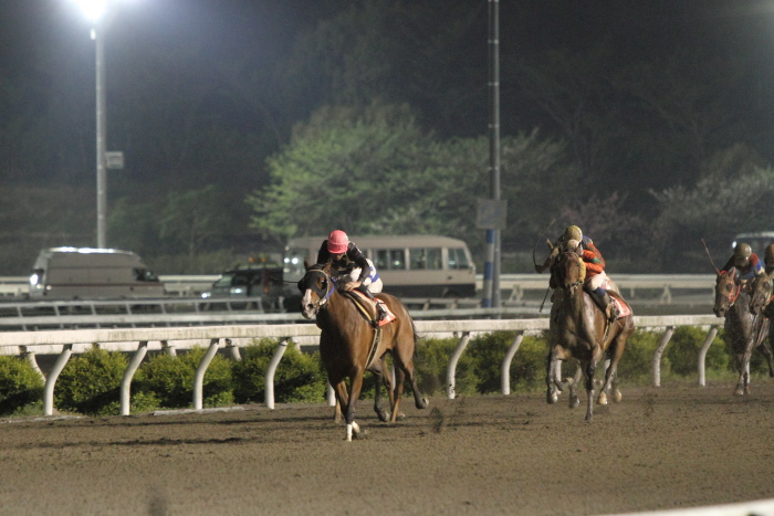 2012年4月20日（金） 高知競馬 10R KCBレディスシリーズ スピカ特別 牝馬_a0077663_8183529.jpg