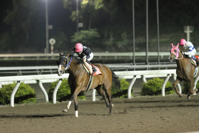 2012年4月20日（金） 高知競馬 10R KCBレディスシリーズ スピカ特別 牝馬_a0077663_8184223.jpg