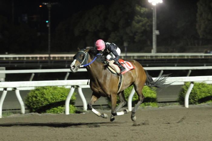 2012年4月20日(金) 高知競馬 10R KCBレディスシリーズ スピカ特別 牝馬_a0077663_8184967.jpg