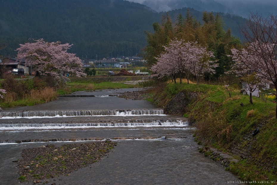 ２０１２桜～大原と静原の里_f0102363_15312826.jpg