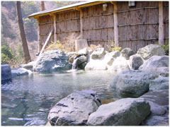 c0224265_59430.jpg