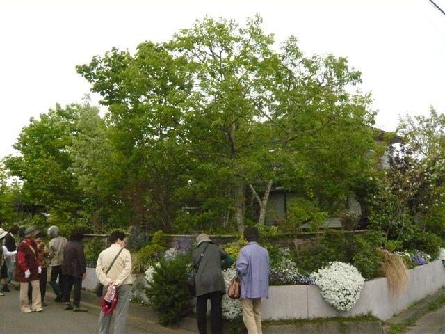 今日は日向市から宮崎のお庭ツアー・・・20名_b0137969_17521155.jpg
