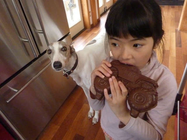 愛犬アロー裏の顔を現す!?_c0080075_034753.jpg