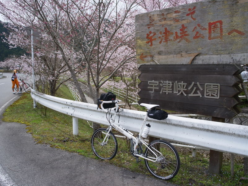 ポケロケ初乗りしましたよ！～京北観桜サイクリング～（中編）_c0177576_11281518.jpg