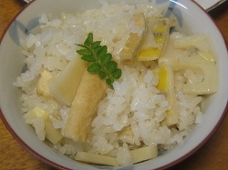 トンカツと筍ご飯_a0075779_227271.jpg