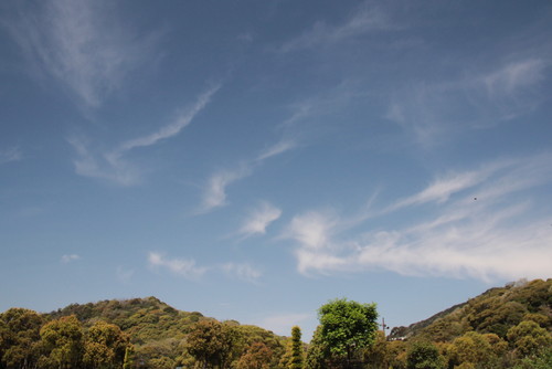 e0024081_13521789.jpg