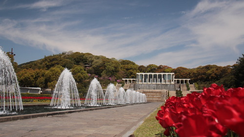 e0024081_1353628.jpg