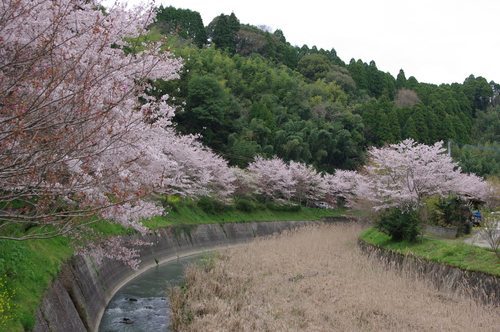 b0183583_0273095.jpg
