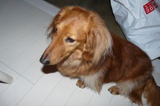 2012年4月21日 少し、ピアーノピアーノ_b0098584_2217092.jpg