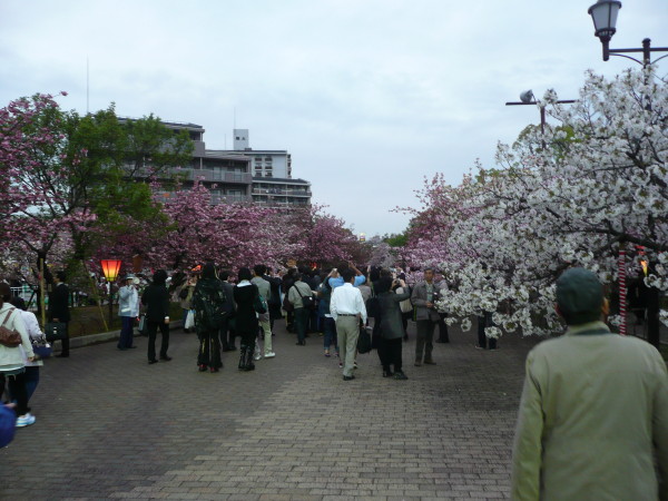 造幣局「桜の通り抜け」　on　2012-4-20_b0118987_7121524.jpg