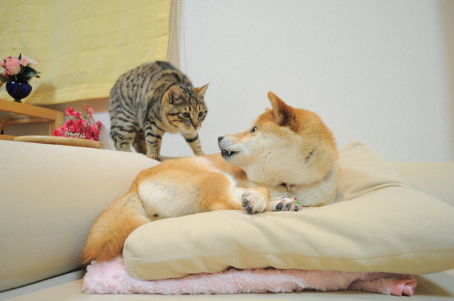 固まった!_a0126590_534497.jpg