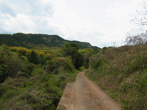 a0214490_1782818.jpg