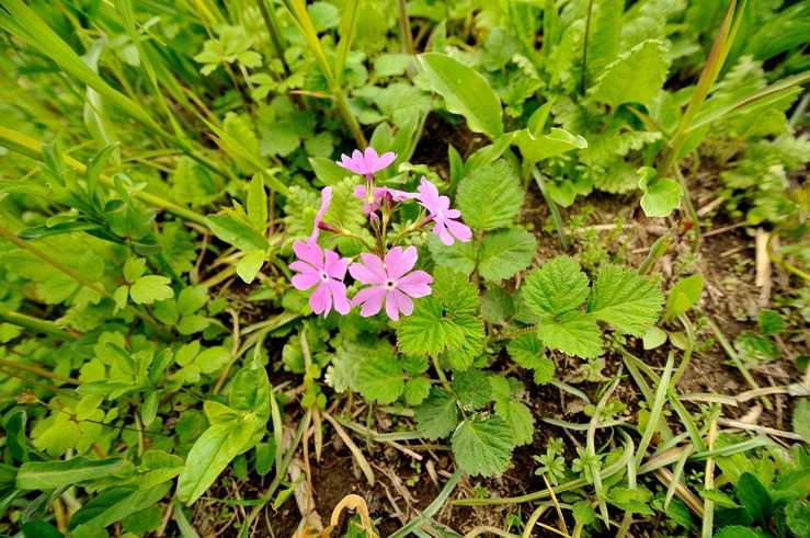 b0217090_15173520.jpg