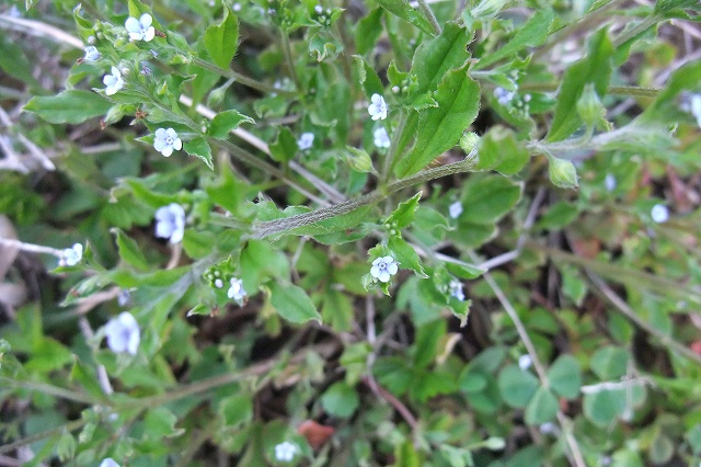 e0070891_18425651.jpg