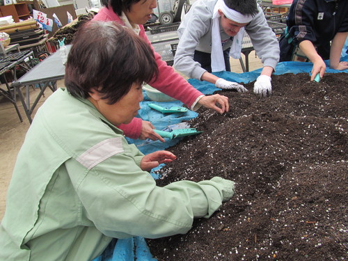 となりの神さま～291人目～_f0213192_1557835.jpg