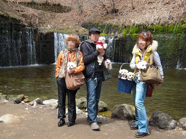 b0211198_1631446.jpg