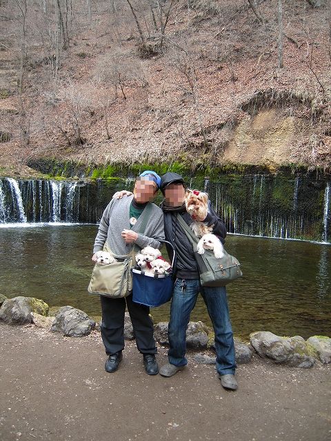 b0211198_16321474.jpg