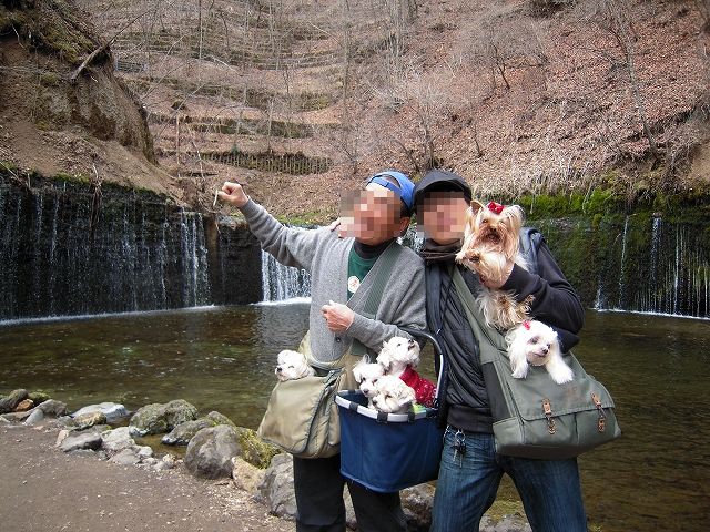 b0211198_16325020.jpg