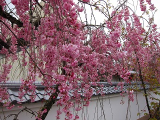 c0212298_221989.jpg