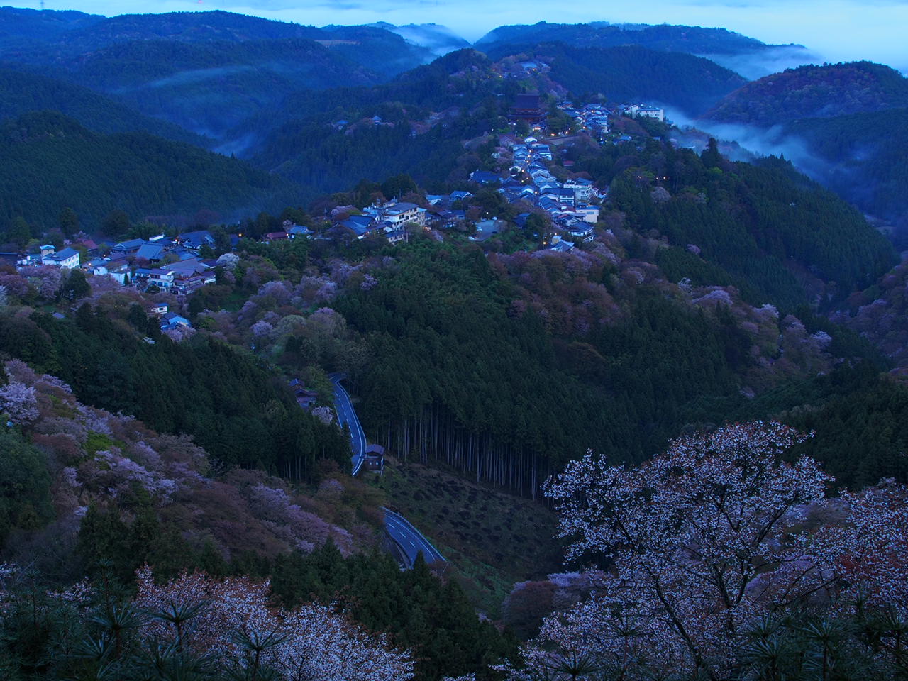 2012の桜④_d0020300_2110483.jpg