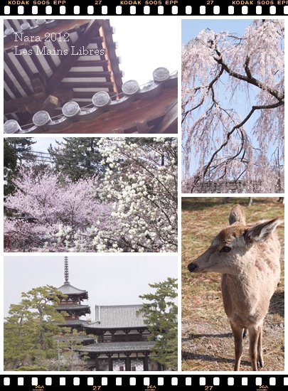 古都にて_f0175901_21201431.jpg