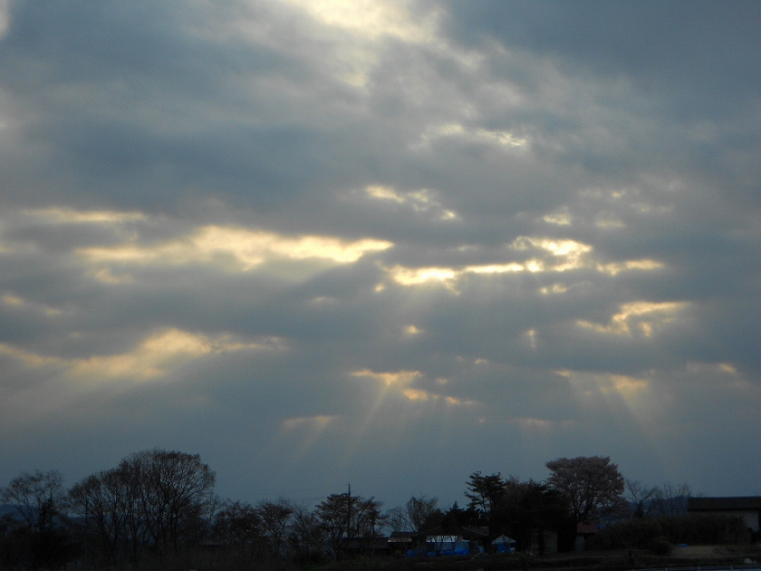 b0147203_232499.jpg