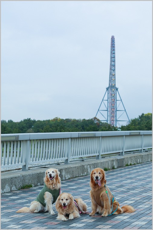 e0117503_17432986.jpg