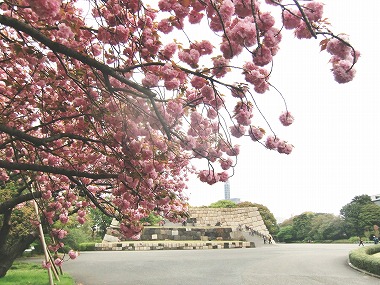 江戸城散歩(江戸の仲間)_c0187004_23384747.jpg