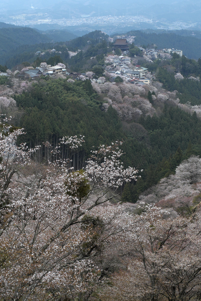 b0221605_8383485.jpg